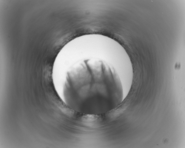 X0000093120672200710241304