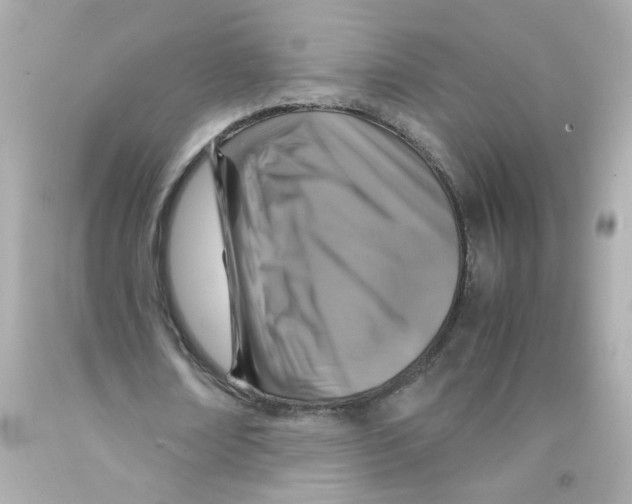 X0000093120674200710241303