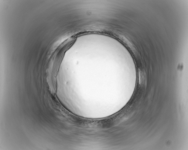 X0000093120675200710241303