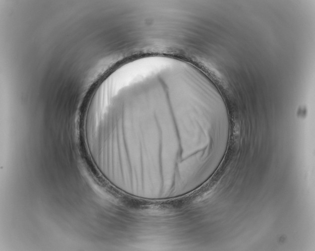 X0000093120678200710241303