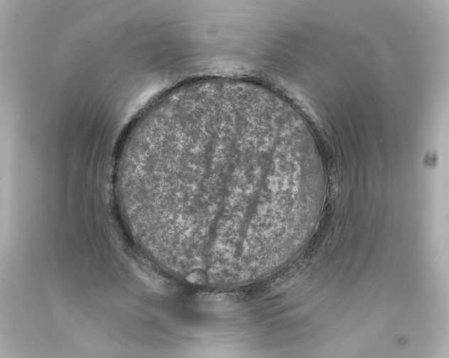 X0000093120679200710241303