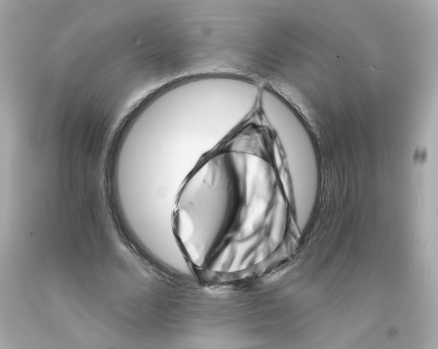 X0000093120680200710241303