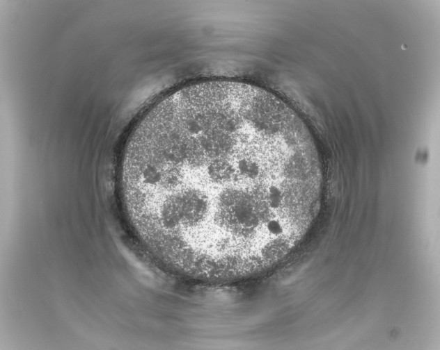X0000093120683200710241303