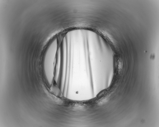X0000093120684200710241303