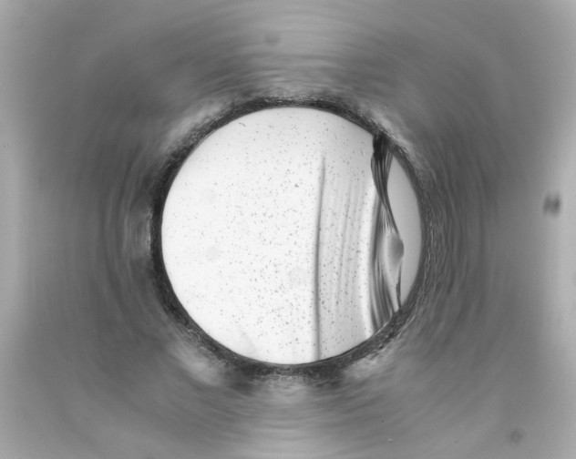 X0000093120685200710241303