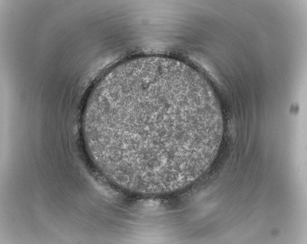 X0000093120687200710241303