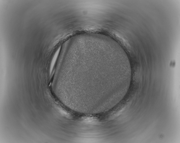 X0000093120689200710241303