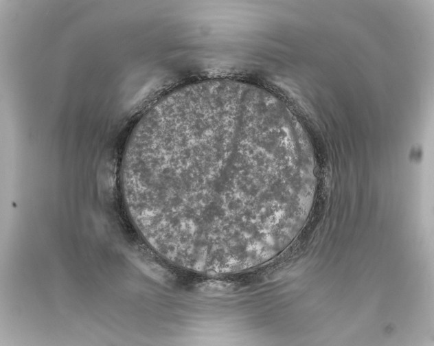 X0000093120691200710241303