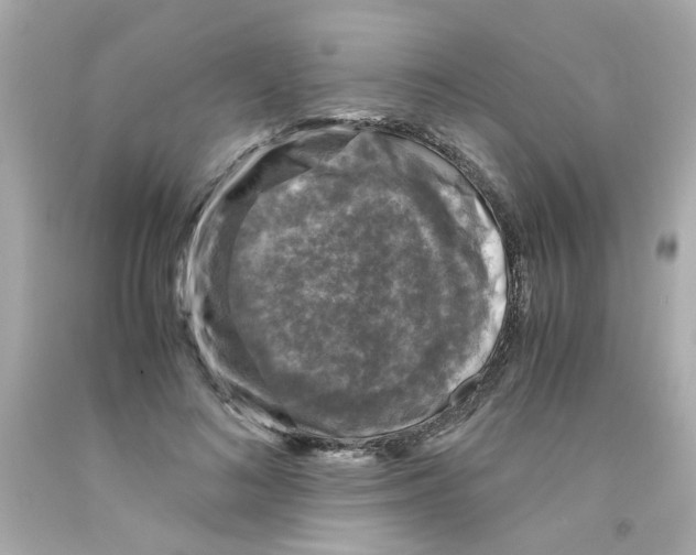 X0000093120692200710241303