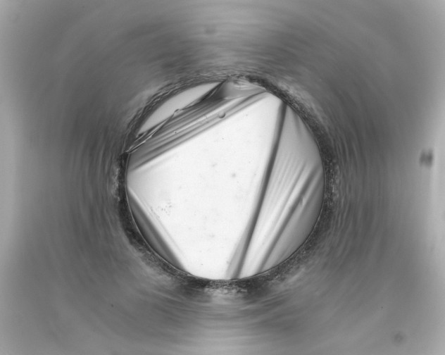 X0000093120693200710241303