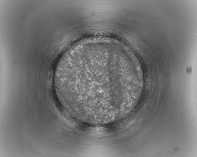 X0000093120695200710241303
