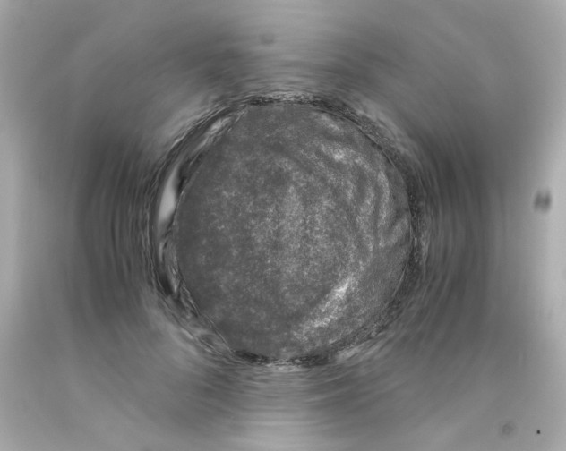 X0000093120696200710241302