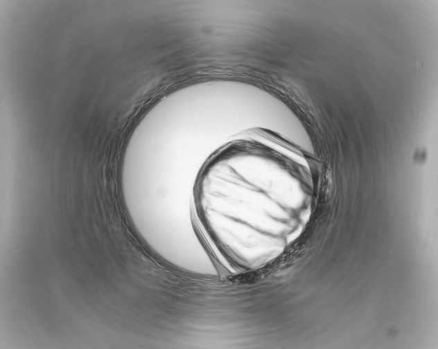 X0000093120697200710241302