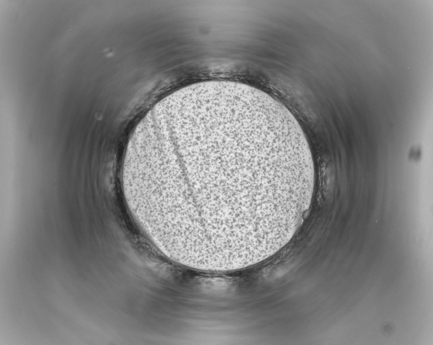 X0000093120698200710241302