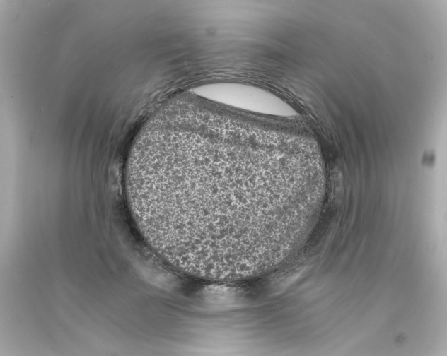X0000093120699200710241302