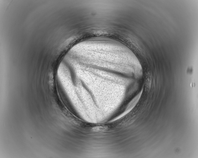 X0000093120700200710241302