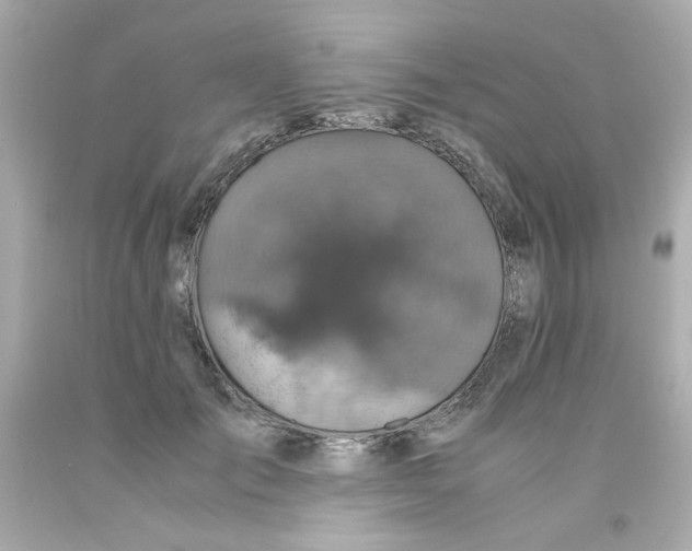 X0000093120701200710241302