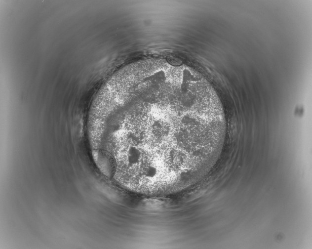 X0000093120703200710241302