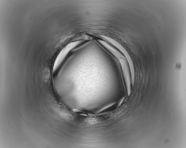 X0000093120704200710241302