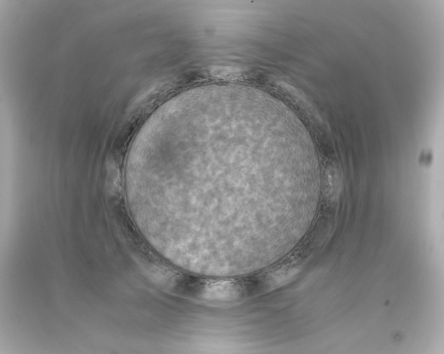 X0000093120705200710241302