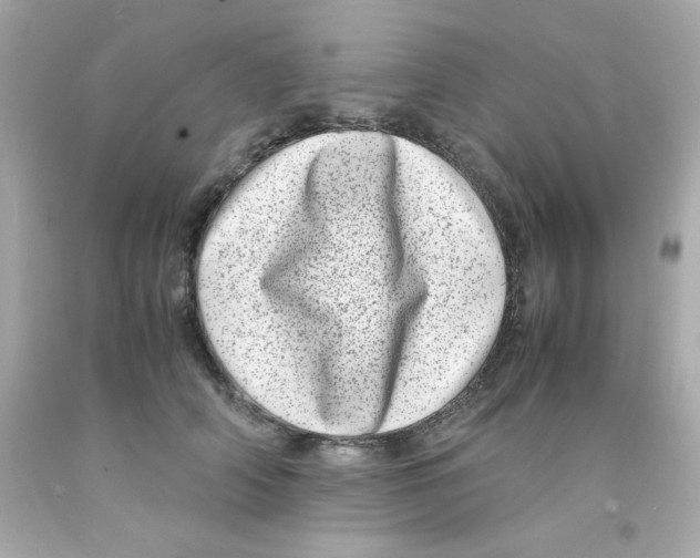 X0000093120706200710241302