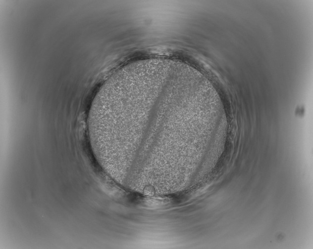 X0000093120707200710241302