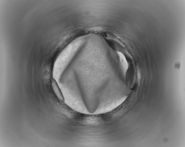 X0000093120708200710241302