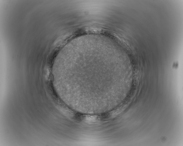 X0000093120709200710241302