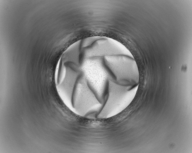 X0000093120710200710241302