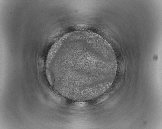 X0000093120711200710241302