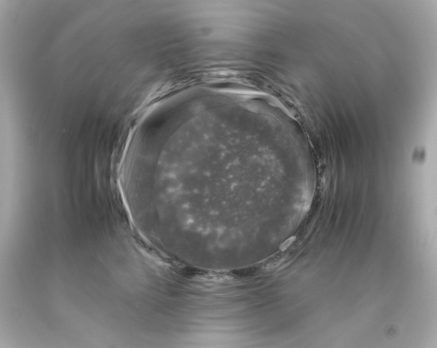 X0000093120712200710241302
