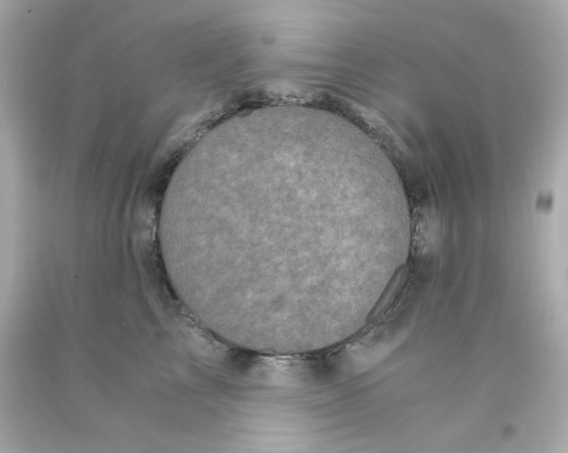 X0000093120713200710241302