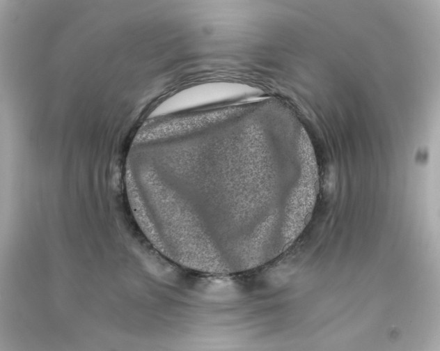 X0000093120715200710241302