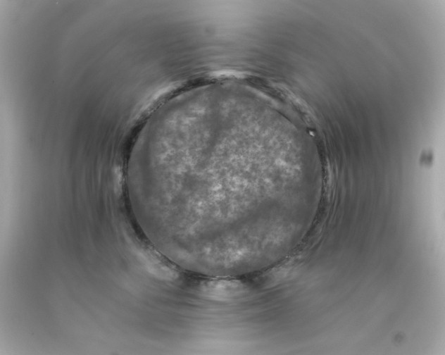 X0000093120716200710241302