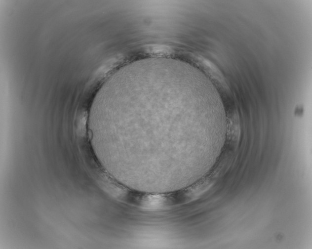 X0000093120717200710241302
