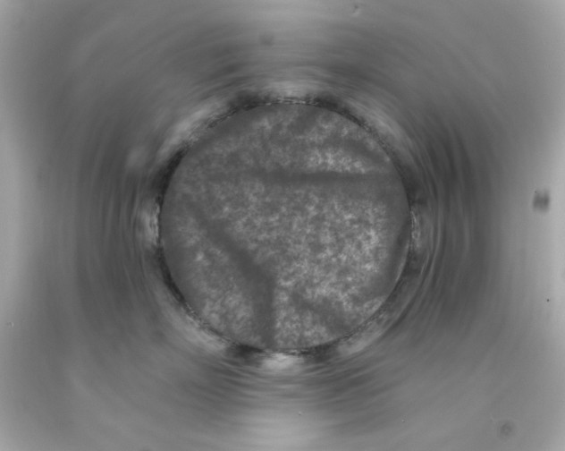 X0000093120718200710241302