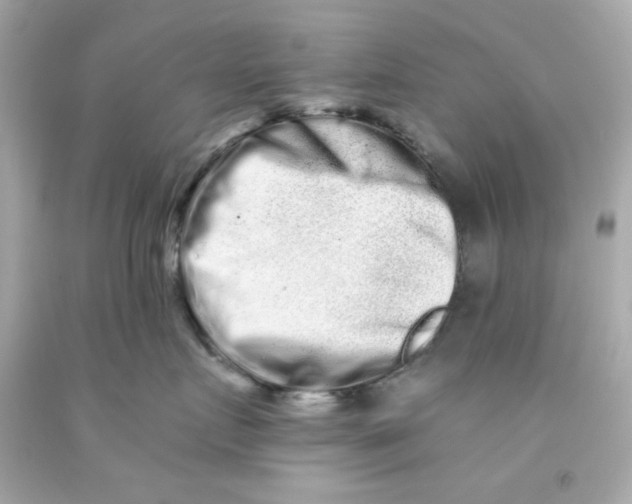 X0000093120719200710241302