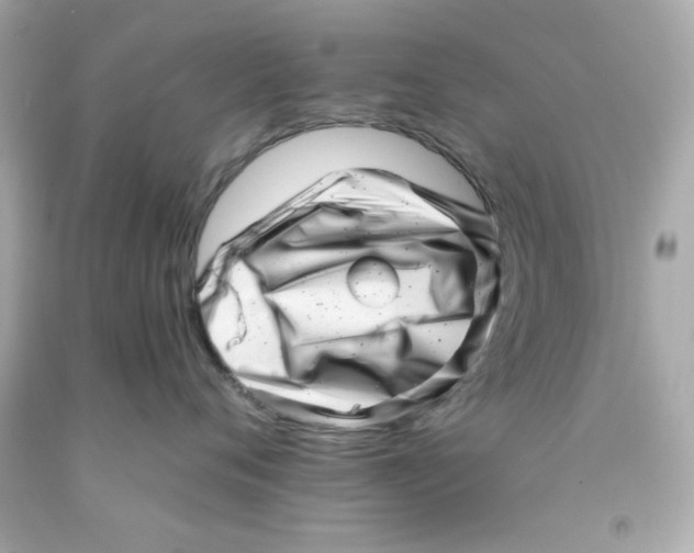 X0000093120720200710241302