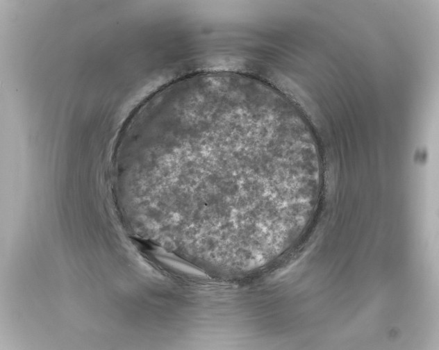 X0000093120721200710241302