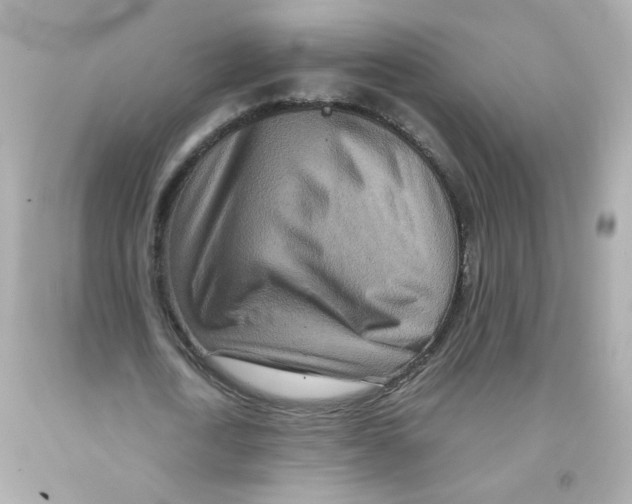 X0000093120722200710241302