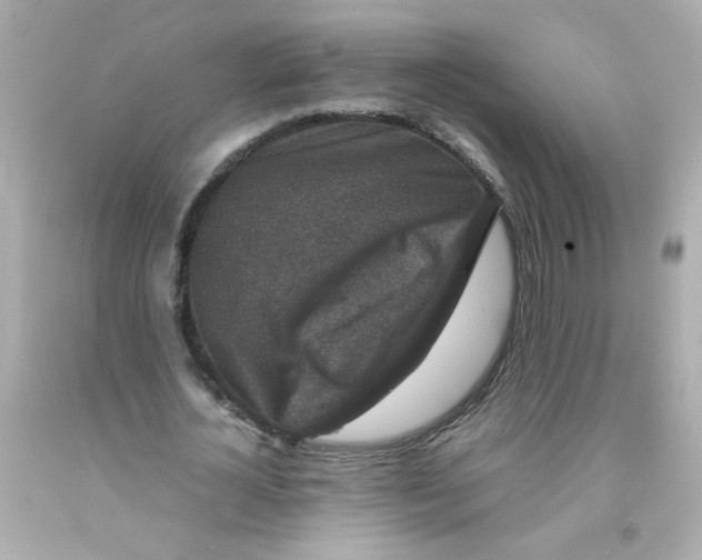 X0000093120724200710241302