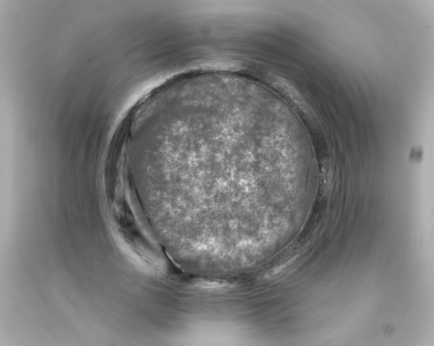 X0000093120726200710241302