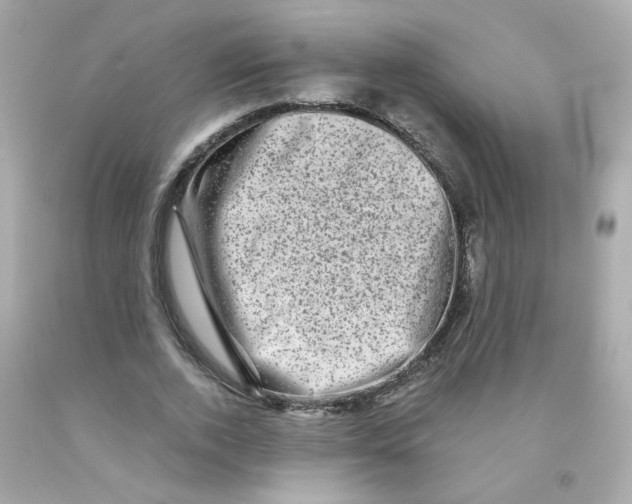 X0000093120728200710241302