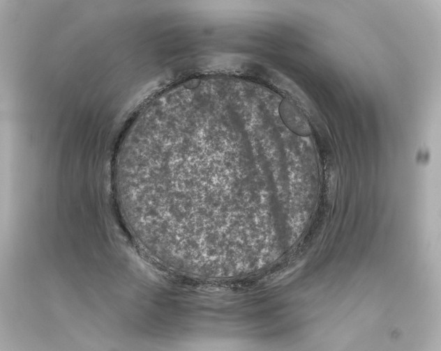 X0000093120729200710241302