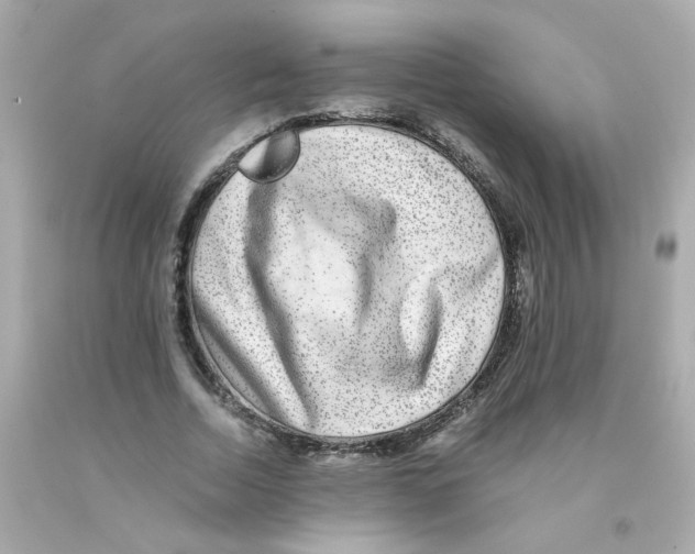 X0000093120730200710241302