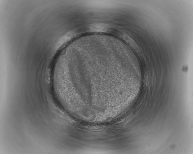 X0000093120731200710241302