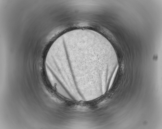 X0000093120732200710241302