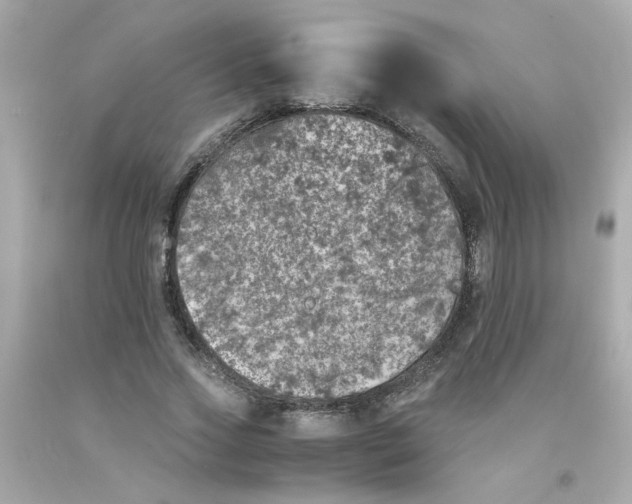 X0000093120733200710241302