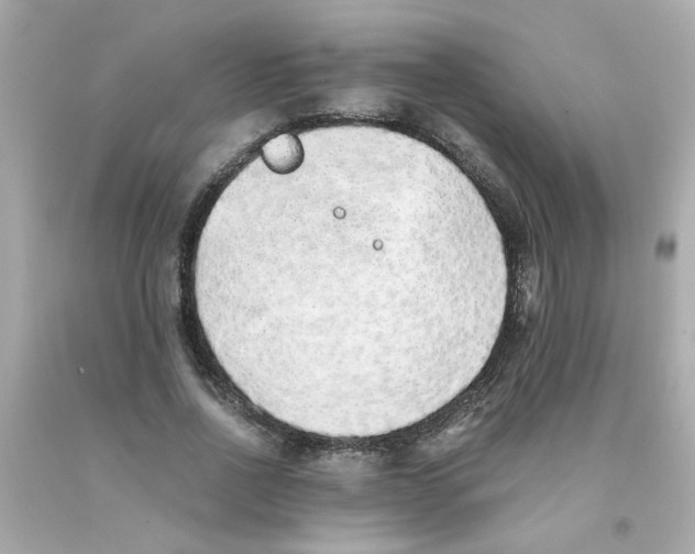 X0000093120734200710241302
