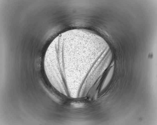 X0000093120735200710241302
